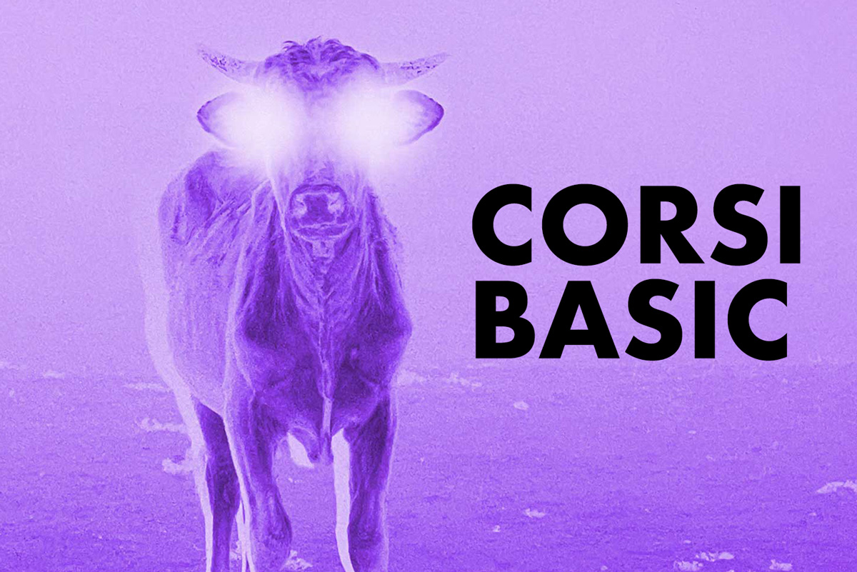 CORSI-BASIC-WEB-OK