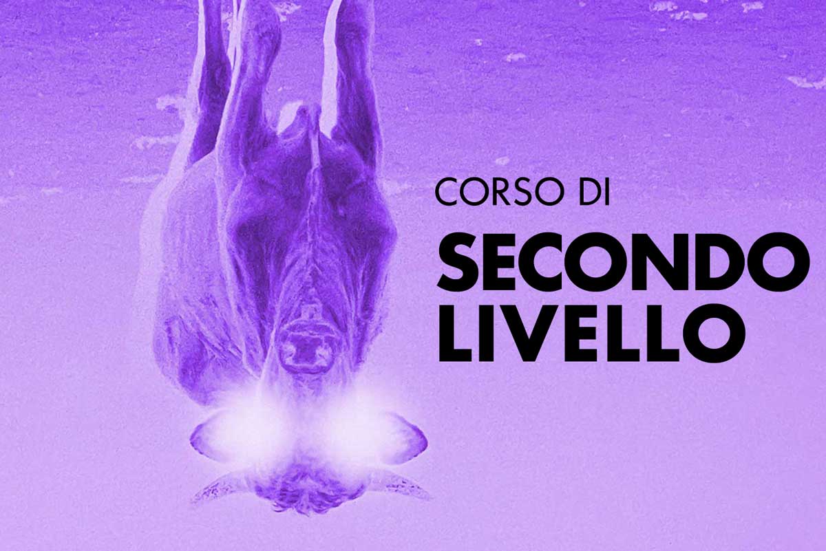CORSO-2-LIV-OK